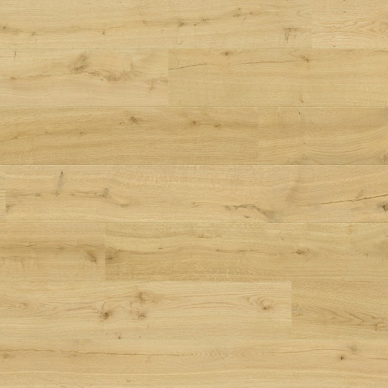 Quick-Step Hydroseal Impressive Ultra - Mandeleiche IMU8255 | Klick-Naturdesignboden