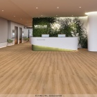 Joka Design 555 Evolut Click - Summer Oak 914 | Rigid-Klickvinyl