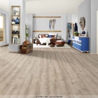 Joka Design 555 Evolut Click - Hazy Oak 909 | Rigid-Klickvinyl