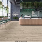 Joka Design 555 Evolut Click - Hazy Oak 909 | Rigid-Klickvinyl