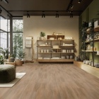 Gerflor Collection 70 Zen - Swiss Oak Golden 1419 | Klebe-Vinylboden