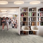 Gerflor Collection 70 Zen - Swiss Oak Pearl 1420 | Klebe-Vinylboden