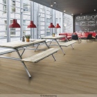 Forbo Enduro 30 - Golden Oak 69120DR3 | Klebe-Vinylboden