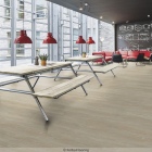 Forbo Enduro 30 - Light Timber 69335DR3 | Klebe-Vinylboden