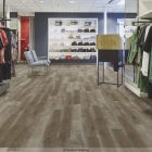 Forbo Enduro 30 - Natural Grey Oak 69137DR3 | Klebe-Vinylboden