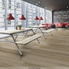 Forbo Enduro 30 - Natural Nutwood 69206DR3 | Klebe-Vinylboden