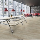 Forbo Enduro 30 - Natural White Oak 69130DR3 | Klebe-Vinylboden