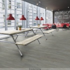 Forbo Enduro 30 - Steamed Pine 69186DR3 | Klebe-Vinylboden