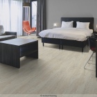 Forbo Enduro 30 - White Pine 69184DR3 | Klebe-Vinylboden