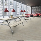 Forbo Enduro 30 - White Pine 69184DR3 | Klebe-Vinylboden