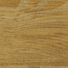 Forbo Allura 55 - Ochre Ash 63662DR5 | Klebe-Vinylboden