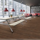 Forbo Allura 55 - Terra Ash 63663DR5 | Klebe-Vinylboden