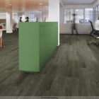 Forbo Allura 55 - Sage Ash 63664DR5 | Klebe-Vinylboden