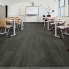 Forbo Allura 70 - Forest Ash 63665DR7 | Klebe-Vinylboden