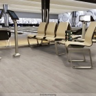 Forbo Allura Flex 100 - Natural Ash 63661FL1 | selbstliegender Vinylboden