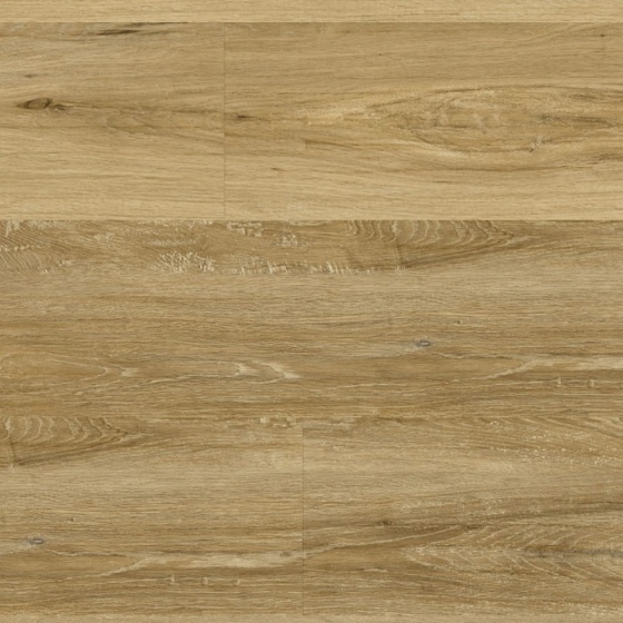 Gerflor Senso Premium Rigid Acoustic - Authentic Nature 0828 | Rigid-Klickvinyl