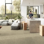 Gerflor Texline Nature - Forest Birch 2384 | Lieferform: Rolle | Breite: 3,00m