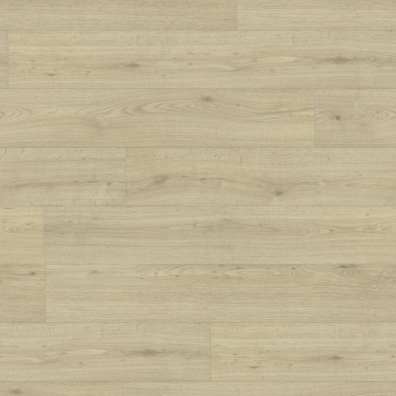 Gerflor Texline Nature - Forest Birch 2384 | Lieferform: Rolle | Breite: 4,00m