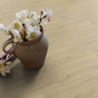 Gerflor Texline Nature - Forest Gold 2383 | Rollenware