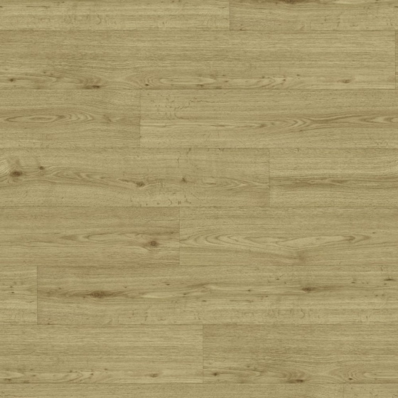Gerflor Texline Nature - Forest Honey 2385 | Rollenware