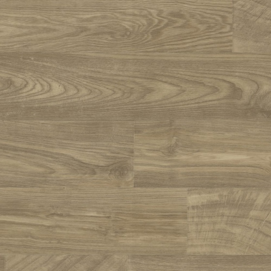 Gerflor Texline Nature - Woodring Honey 2388 | Lieferform: Rolle | Breite: 3,00m