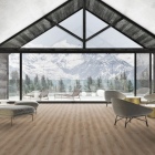 Tarkett iD 30 - Contemporary Oak Grege 261001001 | Klebe-Vinylboden