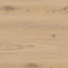 Tarkett iD 30 - Delicate Oak Almond 261003007 | Fischgrät-Optik | Klebe-Vinylboden