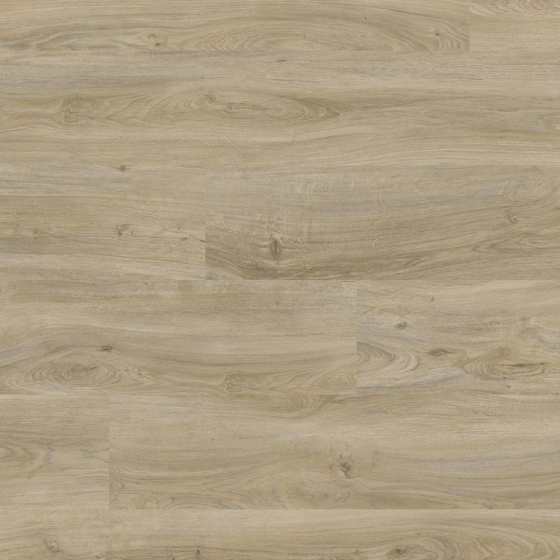Tarkett iD 30 - English Oak Grege 261003012 | Fischgrät-Optik | Klebe-Vinylboden