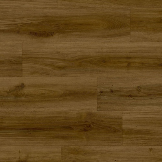 Moduleo LayRed 55 - Classic Oak 24881 | Klick-Vinylboden