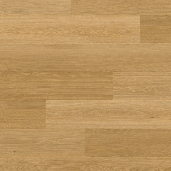 Moduleo LayRed 55 - Haarlemmer Oak 64831 | Klick-Vinylboden