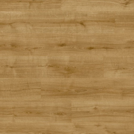 Moduleo LayRed 55 - Wistman Oak 63840 | Klick-Vinylboden