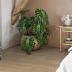 Tarkett iD Naturals 55 - Variant Oak Beige 261014050 | Klebe-Vinylboden