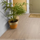 Joka Xplora Prove 833 - Oak royal greige 8817 | Naturdesignboden