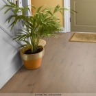 Joka Xplora Prove 833 - Oak feral brown 8818 | Naturdesignboden
