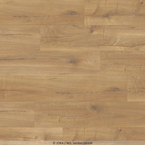 Joka Xplora Prove 833 - Oak rustic honey 8841 | Naturdesignboden