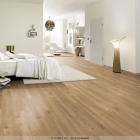 Joka Xplora Prove 833 - Oak rustic honey 8841 | Naturdesignboden