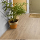 Joka Xplora Prove 833 - Oak rustic honey 8841 | Naturdesignboden