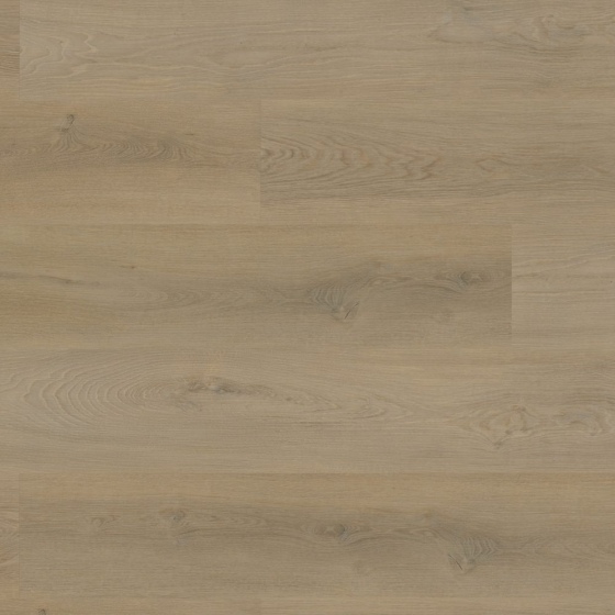 Project Floors - PW 5002/55 | floors@work | Klebe-Vinylboden