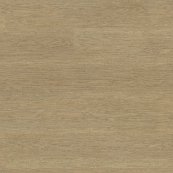 Project Floors - PW 5011/55 | floors@work | Klebe-Vinylboden