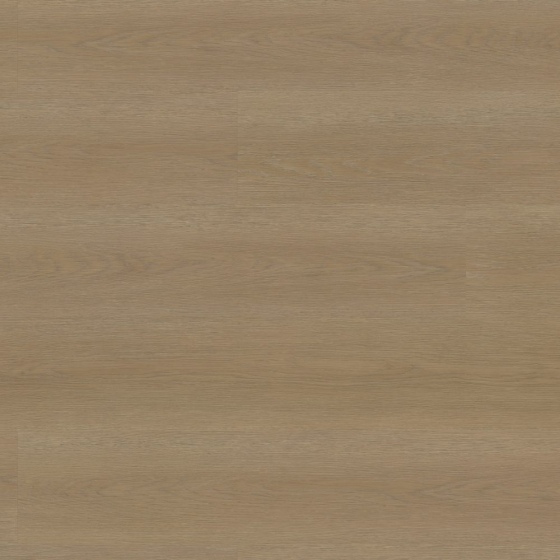 Project Floors - PW 5012/55 | floors@work | Klebe-Vinylboden