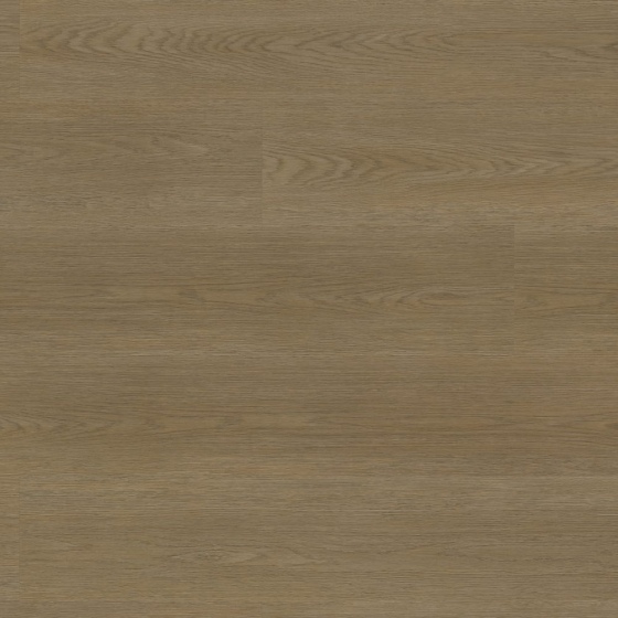 Project Floors - PW 5013/55 | floors@work | Klebe-Vinylboden