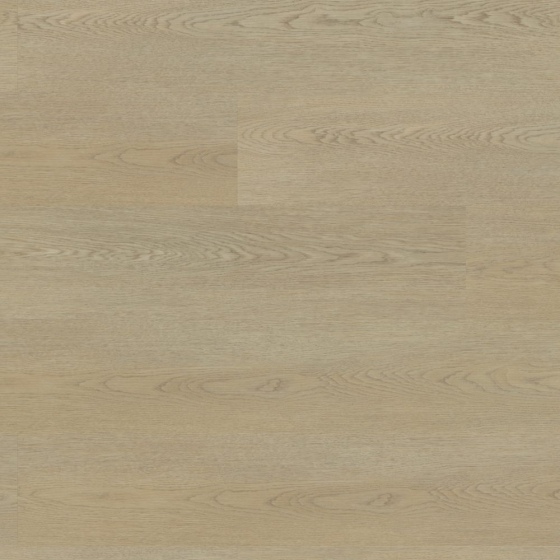 Project Floors - PW 5020/55 | floors@work | Klebe-Vinylboden