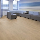 Project Floors - PW 5021/55 | floors@work | Klebe-Vinylboden