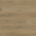 Project Floors F-SPC - PW 5001/55 | Rigid-Klickvinyl