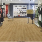 Forbo Enduro Click 55 - Pure Oak 69101CD5 | Rigid-Klickvinyl