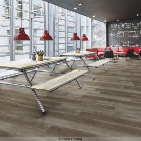 Forbo Enduro Click 55 - Natural Grey Oak 69137CD5 |...