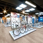 Gerflor Collection 55 - Mansfield Natural 0069 | Klebe-Vinylboden