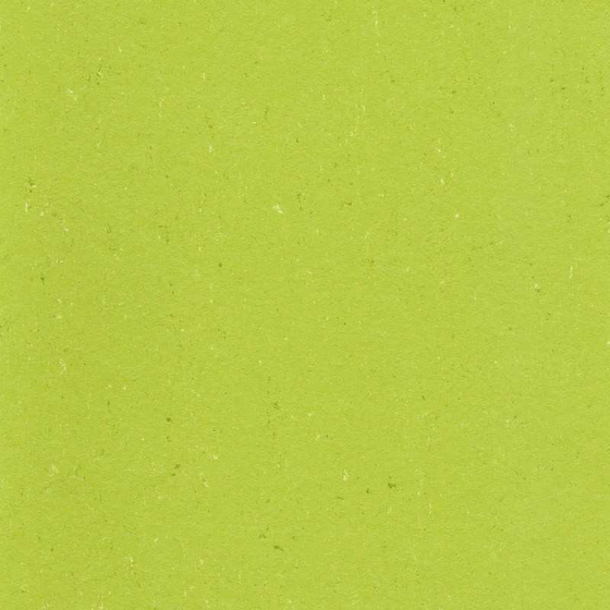 Gerflor DLW Colorette Neocare - Spicy Green 0132 | Linoleum