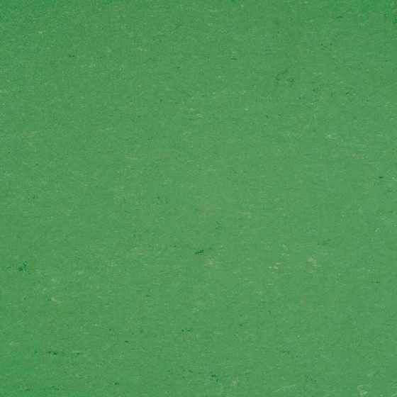 Gerflor DLW Colorette Neocare - Vivid Green 0006 | Linoleum