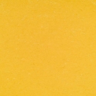 Gerflor DLW Colorette Neocare - Banana Yellow 0001 | Linoleum